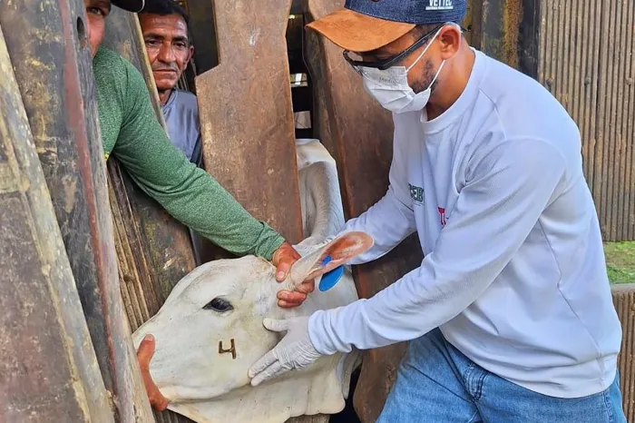 Crédito: Divulgação