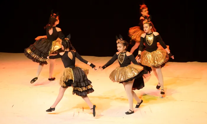 5ª Mostra DID ocorre neste fim de semana no Teatro Zulmira Canavarros