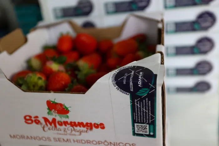 Foto: Gilson Abreu/AEN