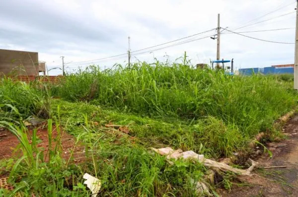 Foto: Reprodução/Prefeitura de Sorriso - MT