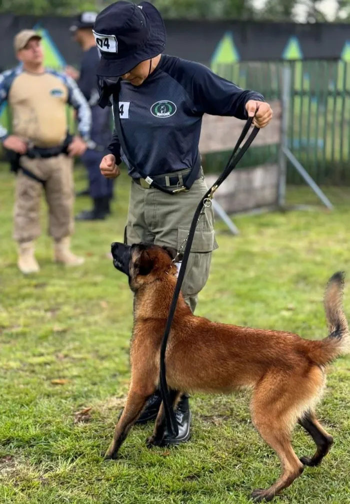 Soldado da PM do Piauí conquista 1° lugar em Curso de Operações com Cães realizado no Pará