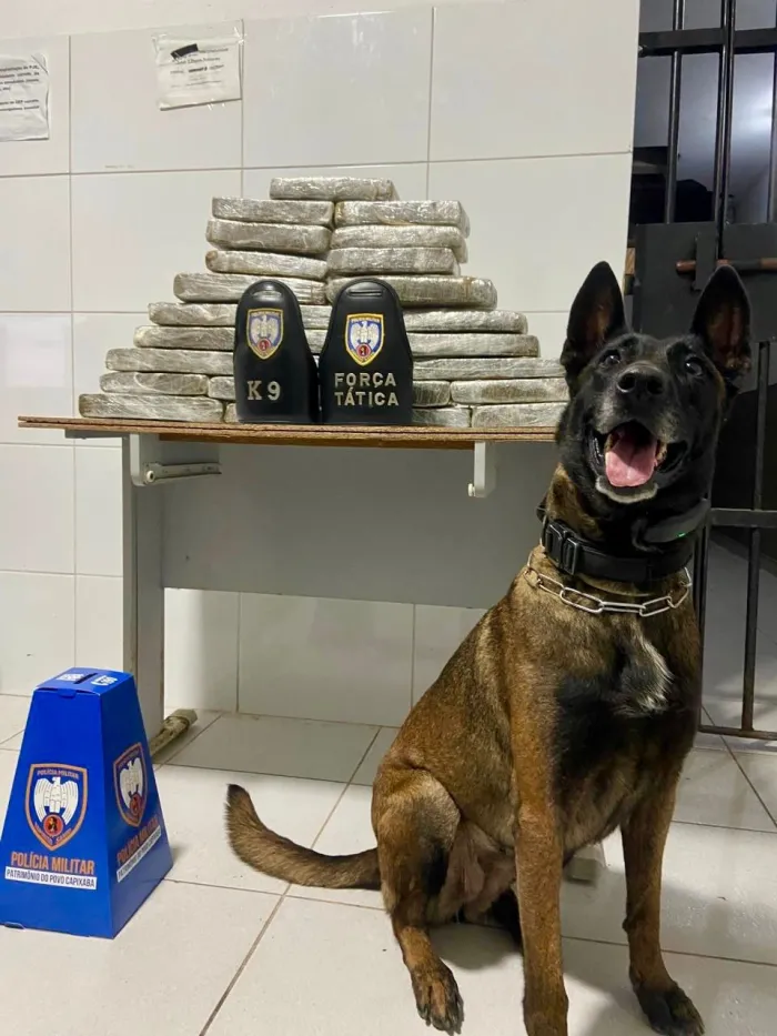 Foto: Reprodução/Polícia Militar - ES