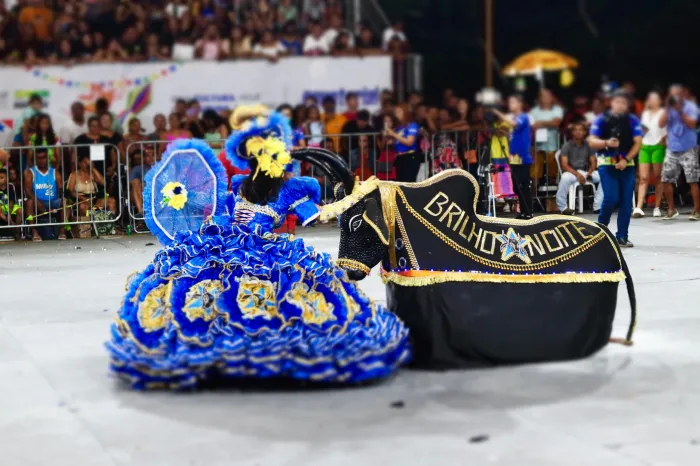 37º Festejo Junino: Penúltima noite consagra Boi-Bumbá Brilho da Noite como campeão 2024