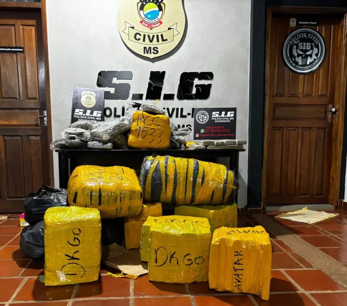 Foto: Reprodução/Polícia Civil - MS