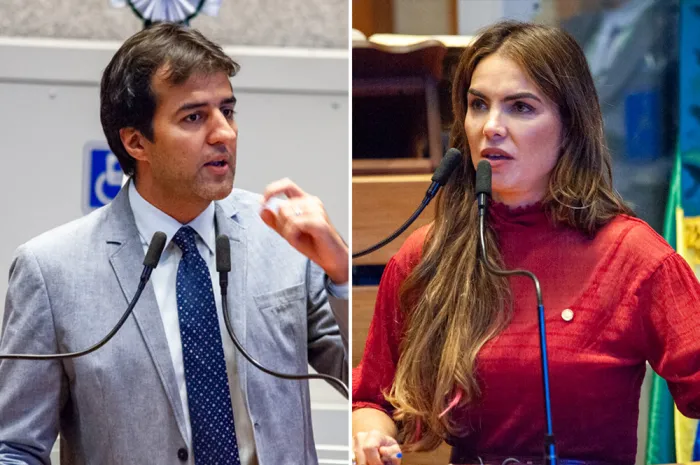Comissões permanentes criam grupo de trabalho sobre alimentação escolar