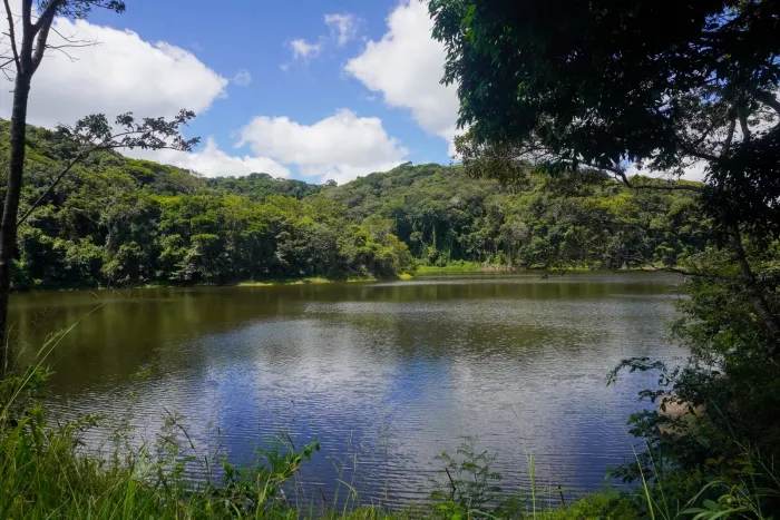 Foto: Reprodução/Prefeitura de Caruaru - PE