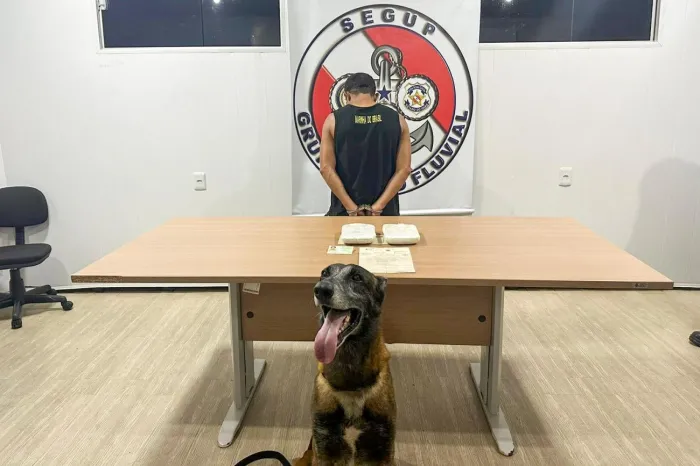 Crédito: Divulgação