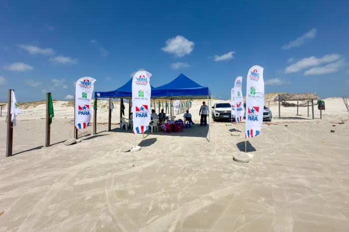 Crédito: Vinícius Leal (Ascom/Ideflor-Bio)