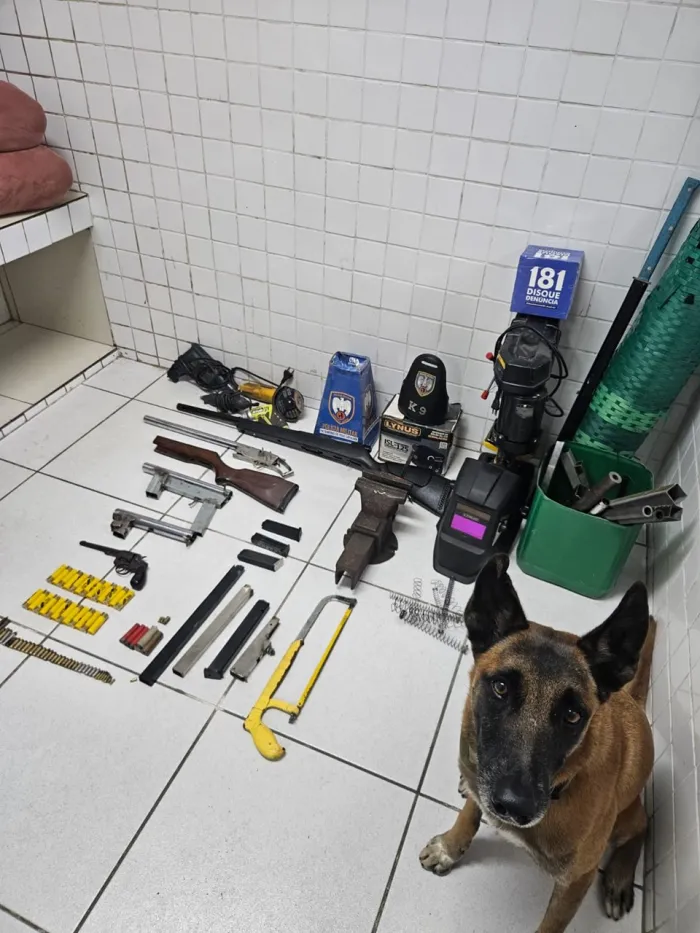 Foto: Reprodução/Polícia Militar - ES