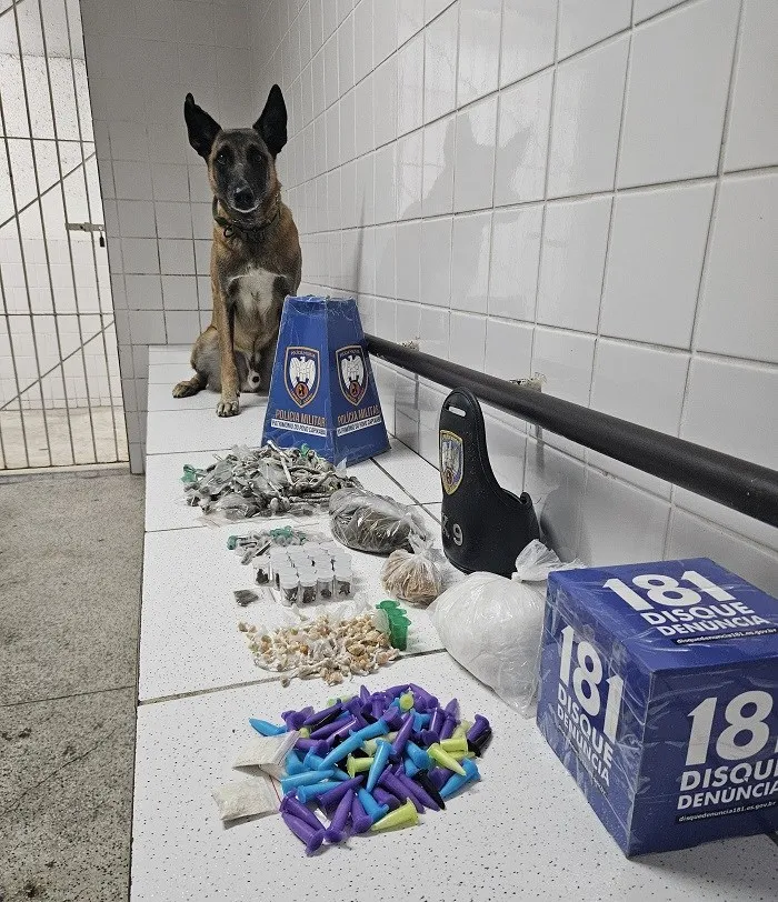 Foto: Reprodução/Polícia Militar - ES