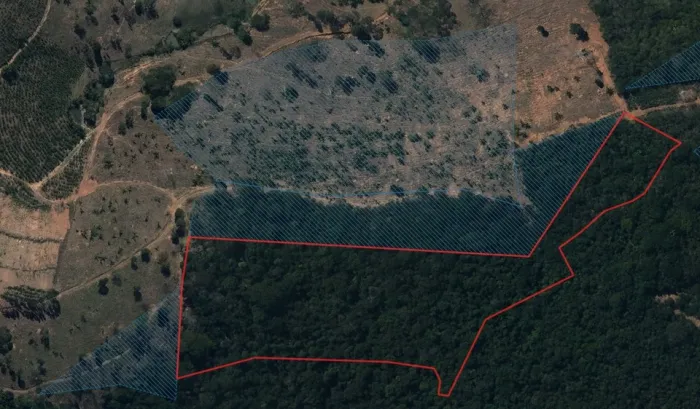 Idaf multa infrator por desmatamento em área de Reserva Legal