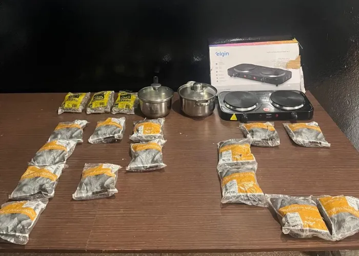 Foto: Reprodução/Polícia Civil - MS