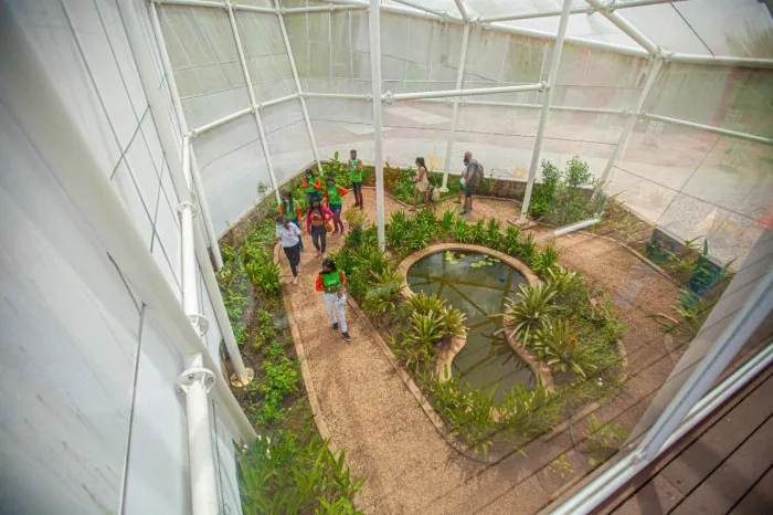 Urca e Mirante do Caldas realizam abertura de Borboletário no próximo dia 12 de julho