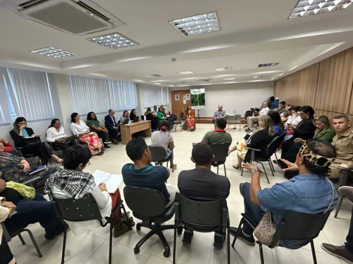 Membros da sociedade civil dialogam sobre fortalecimento da governança com representantes da Alemanha e do Reino Unido