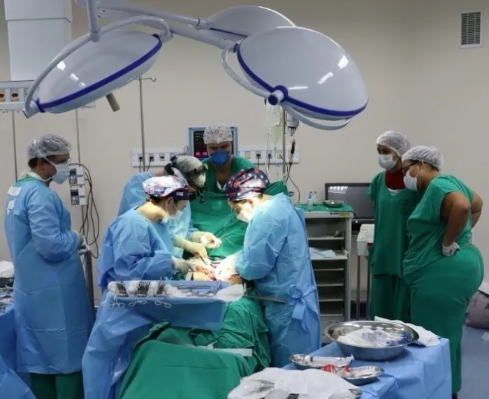Estado já soma mais de 70 mil cirurgias eletivas realizadas neste ano