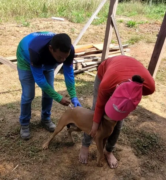 Vacinação contra raiva é antecipada no Amazonas e segue até dia 31 de julho