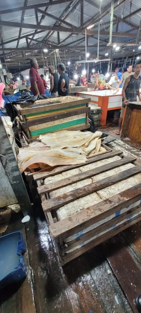 Polícia Militar do Amazonas apreende cerca de 300 quilos de pescado, na Feira da Panair