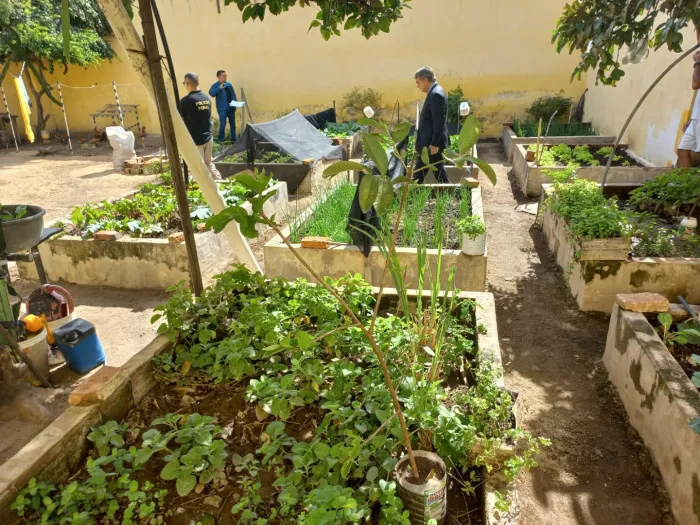 Foto: Reprodução/Secom Paraíba