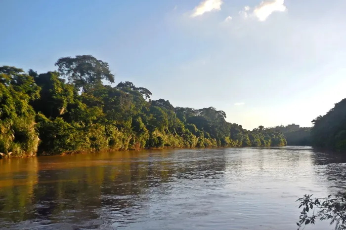 Rio Piracicaba sofreu com evento ambiental que deixou diversos peixes mortos