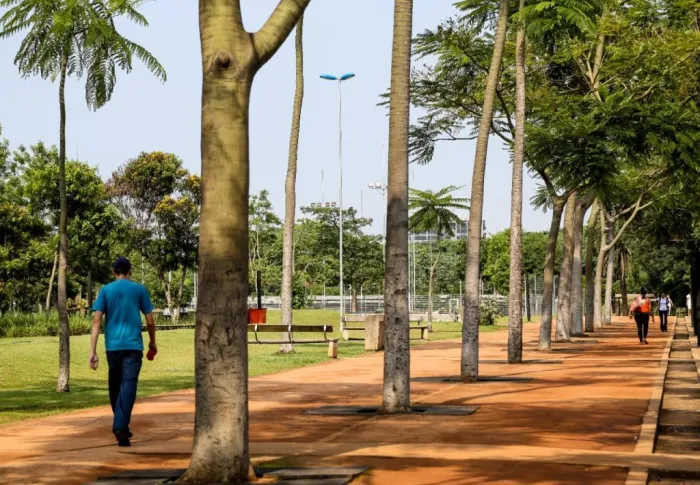 Parque da Juventude, zona norte de SP