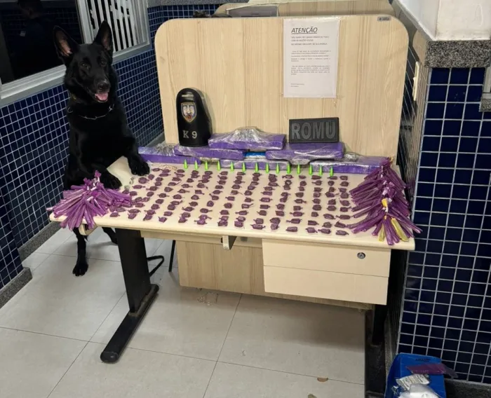 Operação conjunta da PMES resulta na apreensão de entorpecentes