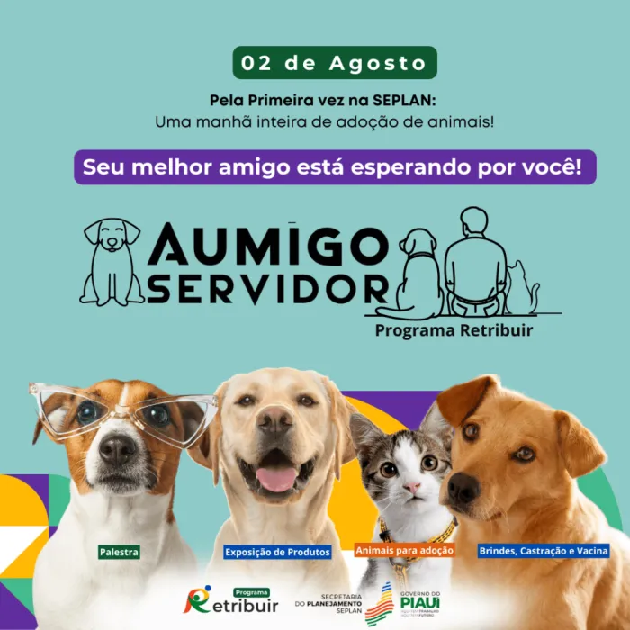 Foto: Reprodução/Secom Piauí