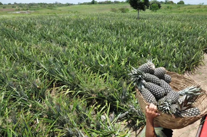 Foto: Reprodução/Secom Paraíba