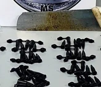 Foto: Reprodução/Polícia Civil - MS