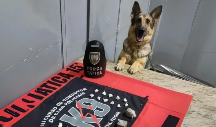 Foto: Reprodução/Polícia Militar - ES