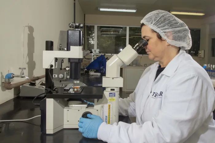 Foto: Hedeson Alves/TECPAR