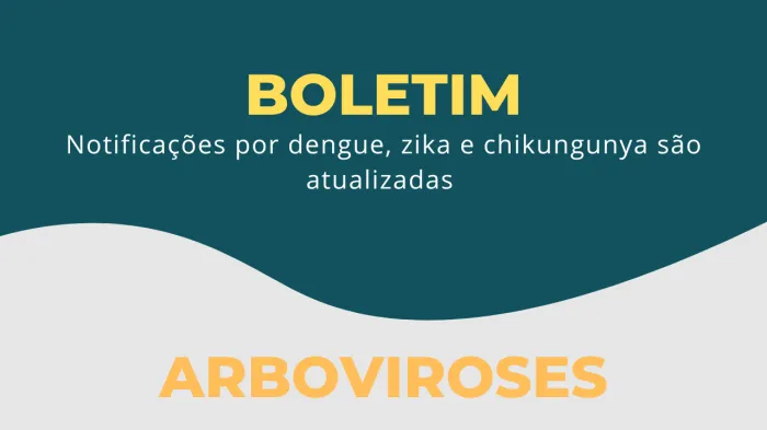 Notificações por dengue, zika e chikungunya são atualizadas