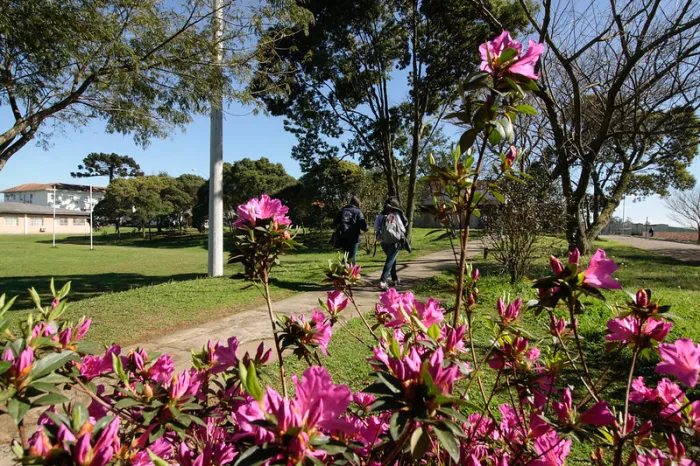 Foto: Reprodução/Secom SC