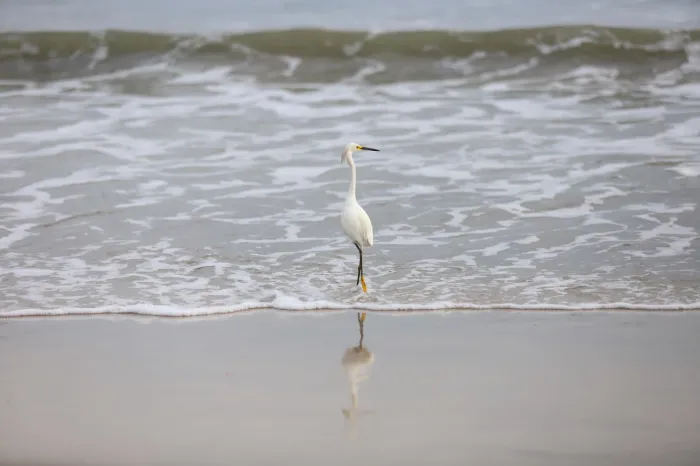 Balneabilidade: IMA divulga relatório de julho com previsão de nova rodada de coletas para a próxima semana