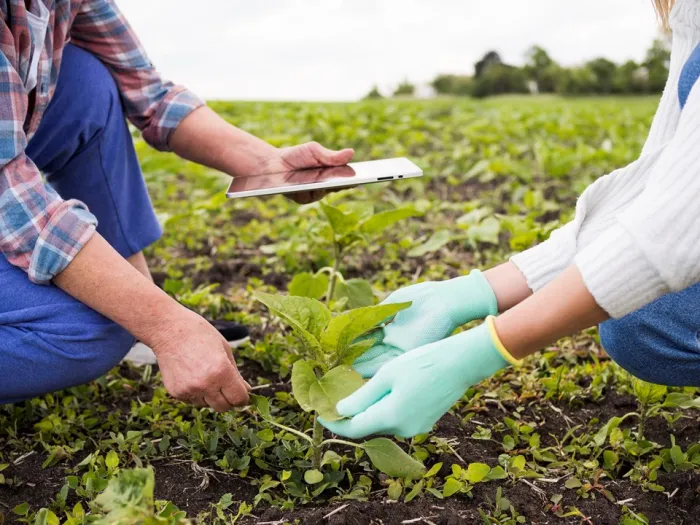 Seminário de defesa agropecuária do Espírito Santo acontece este mês