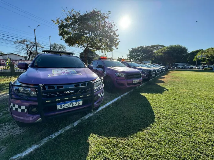 Operação Shamar: Forças de Segurança do Piauí intensificam ações de combate à violência contra a mulher 