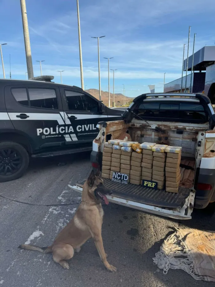 Operação conjunta entre PCCE e PRF resulta em captura e apreensão de mais de 64 kg de drogas em Icó