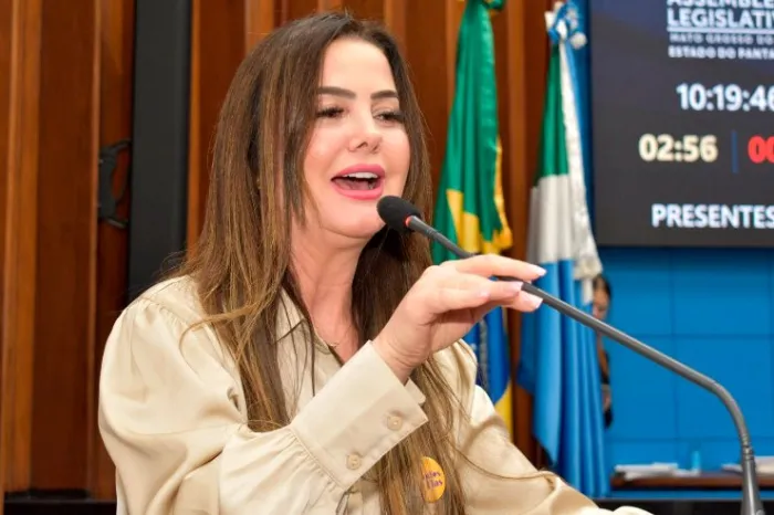Agosto Lilás: Deputada defende efetiva aplicação das leis e das políticas públicas