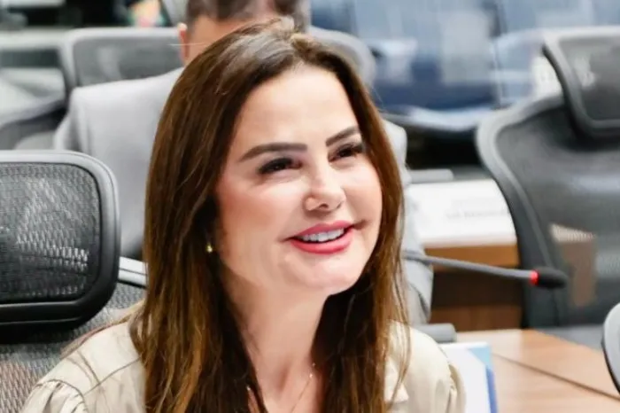 Deputada busca a viabilização de aeroporto em Iguatemi