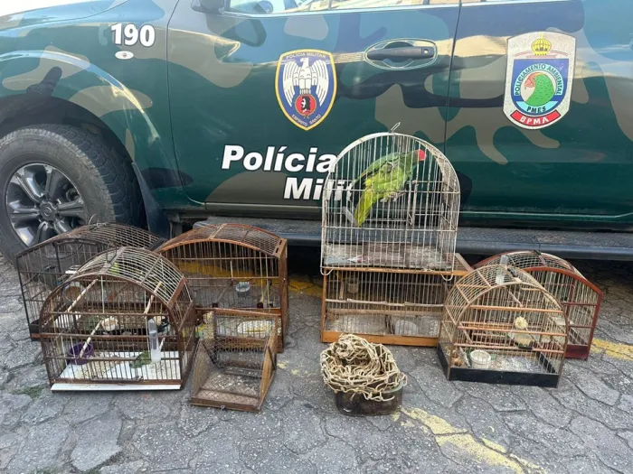 Foto: Reprodução/Polícia Militar - ES