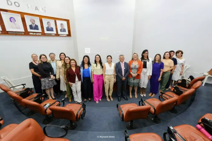 Foto: Reprodução/Secom Piauí