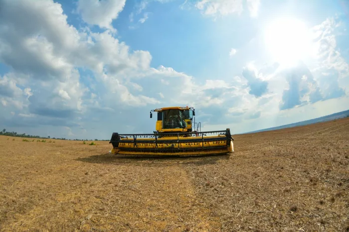 Crédito: Divulgação / Agência Pará