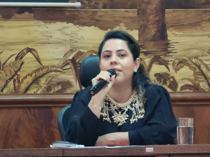 Sema aborda atuação do governo no enfrentamento aos eventos climáticos extremos em seminário da Escola da Magistratura