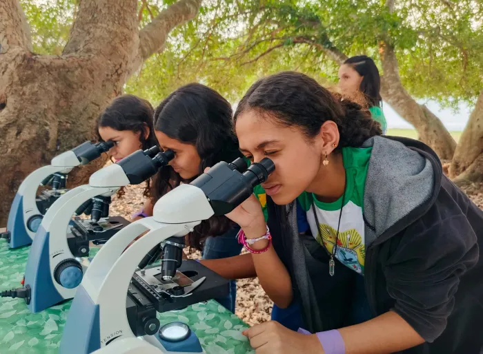 Minicurso Vida de Inseto estimula aprendizado científico entre alunos da Escola Zuleide Pereira