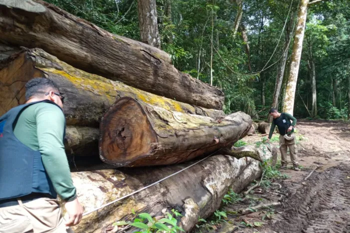 Crédito: ASCOM / SEGUP