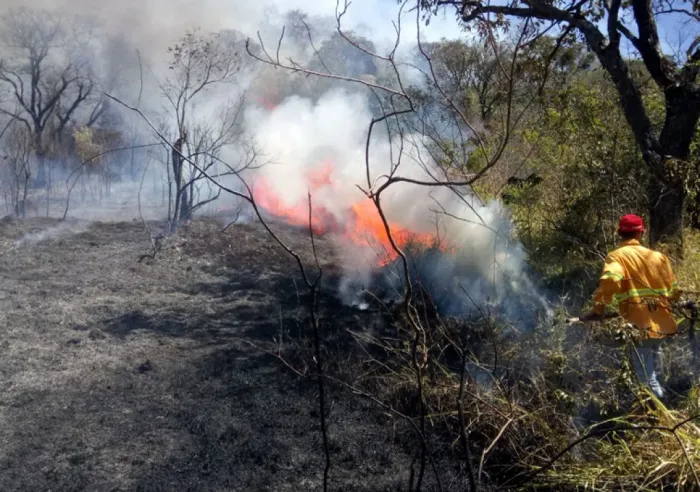 Defesa Civil de SP alerta que, com exceção do Litoral Paulista, todo o estado atingirá níveis abaixo dos 20% de umidade relativa do ar; aumentando o risco de incêndios