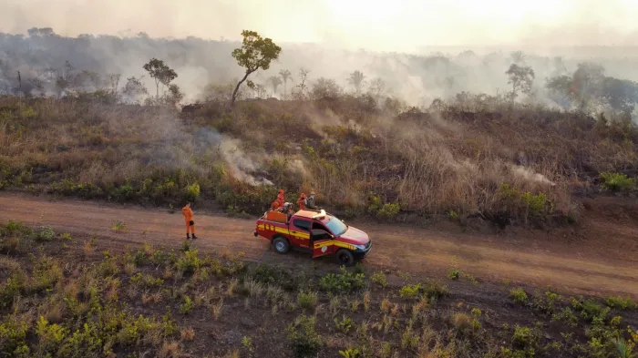 - Maranhão Sem Queimadas intensifica atividades (Foto: Divulgação /Arquivo)