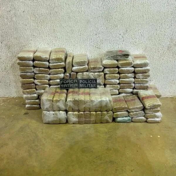 PMCE e Sefaz apreendem mais de 135kg de drogas em Tianguá
