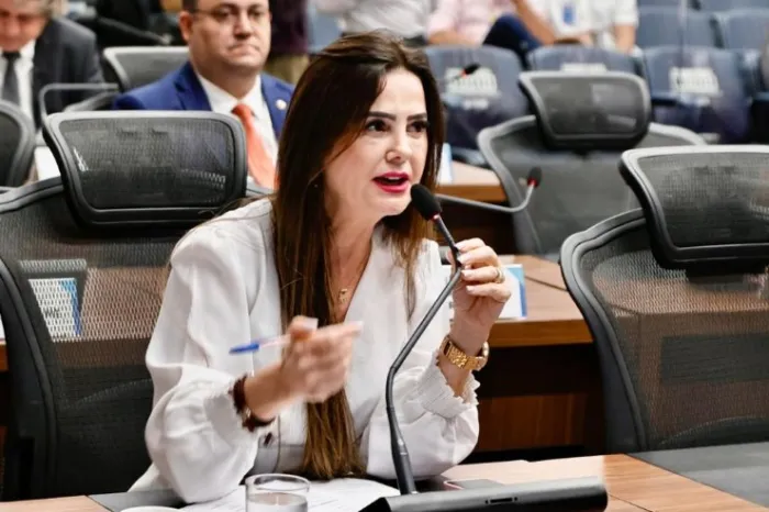 Aquidauana: Mara Caseiro solicita maior segurança em ponte de concreto
