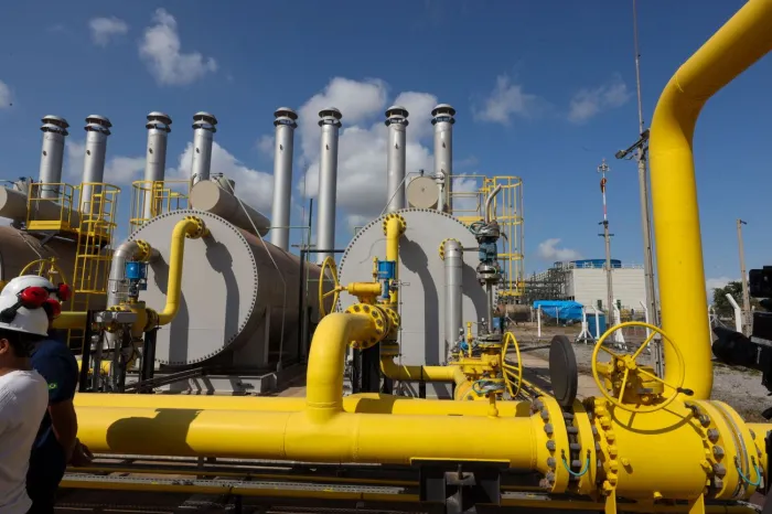 Crédito: Marco Santos / Ag. Pará