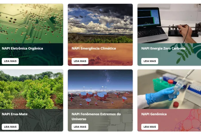 Foto: Reprodução/Secom Paraná